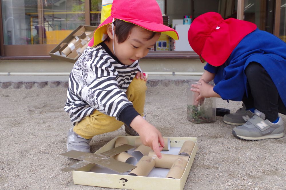捕まえたテントウムシを迷路に招待♪
どんなコースを歩いていくかじっと観察するAくん。
「みて！トンネルとおった！」
迷路を通るテントウムシを見て
大喜びのAくん♡