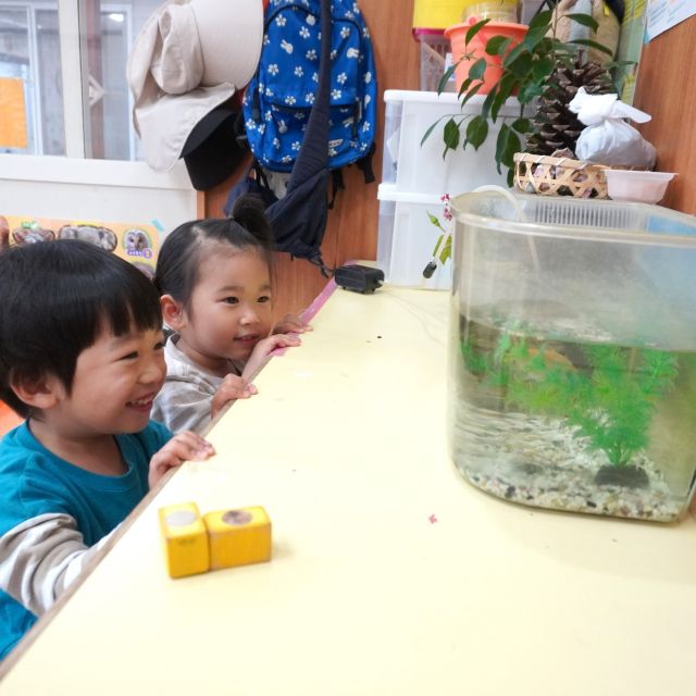 ＊　２歳児　部屋の中では…　＊