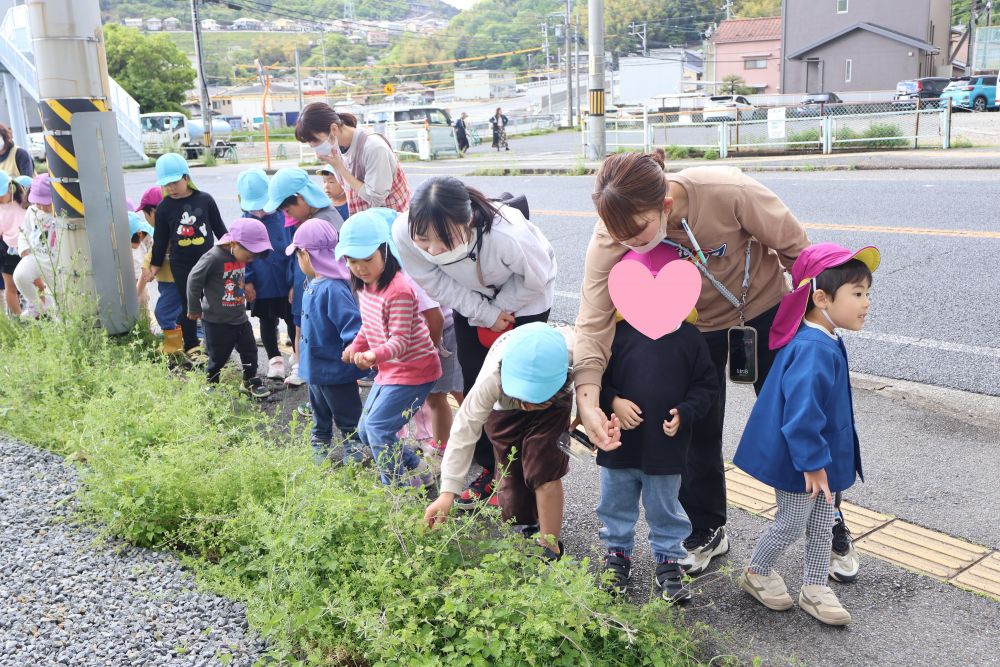 マラソンコースで てんとうむし を発見！👀

欲しいけど怖い・・・そんなリス組さんを見て
キリン組さんが捕ってくれる姿も😳♡

捕まえるときもしっかり
おにいちゃんおねえちゃんの手を掴む🫱🏼‍🫲🏼

