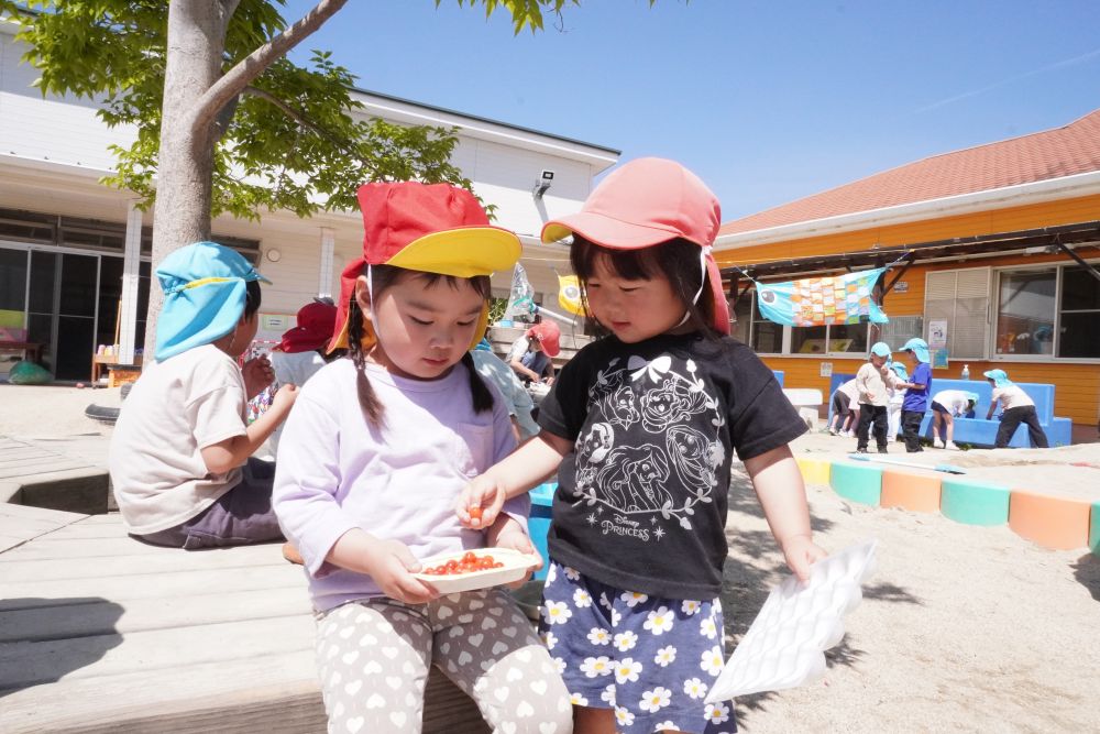 「一緒に食べよう♡」
「いいよ♡」
「おいしいねぇ」
採れたてのさくらんぼを
友達と食べるとさらにおいしい♡
