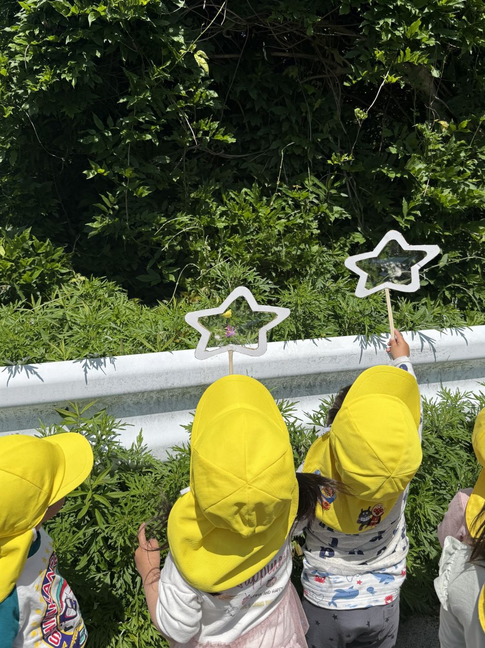 段々と暑い季節になってきました☀️ 
長い休みだったので、
疲れ気味のみんなかな？と、思ったけど…

みんな元気いっぱい、
しっかり歩けました♬

春を見つけにレッツゴー♪
見つけた春は、
お星様のシールにぺたっ♡

黄色い花…ピンクの花…わたげ…