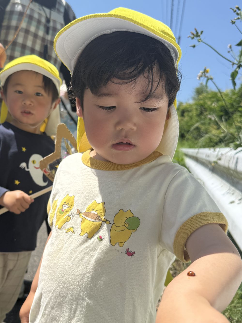 てんとうむしも見つけたよ🐞

Yくんの手にくっついた！！