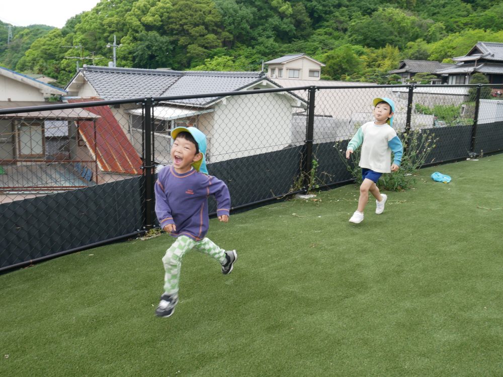 今年もレモン畑🍋にお散歩

レモンの収穫はまだまだですが
お花がほしい…虫捕まえたい…
豆笛ほしい…　
どこに散歩に行こうか悩んでいたみんな
ここでぜーんぶ叶ったよ♡

