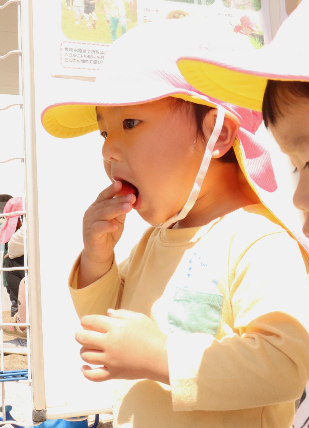 のんびりゆったり、甘酸っぱい春を満喫♪
