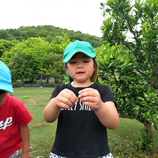 レモン畑🍋②　＊５歳児＊