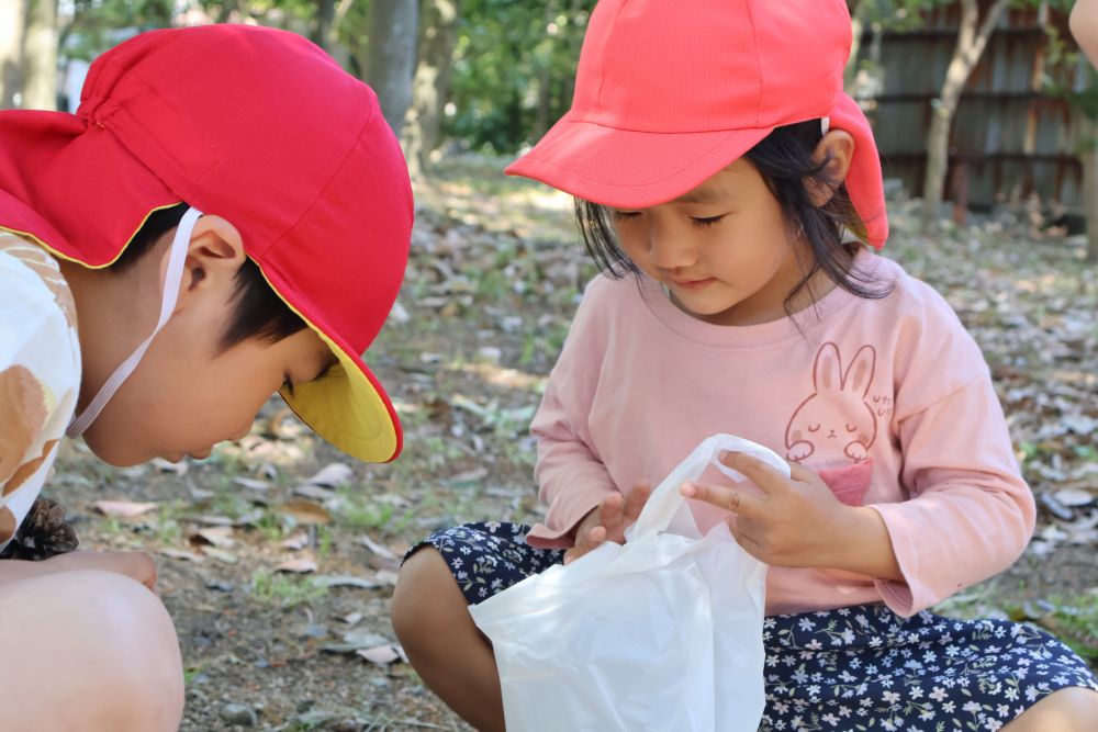 久しぶりに神社へお散歩！

Mちゃん「なんかいたよー？」
Mくん「お！てんとう虫がかくれてた！」

虫探しをしたり、草花を集めたり、思い思いに遊んだゾウ組さん！🌼

