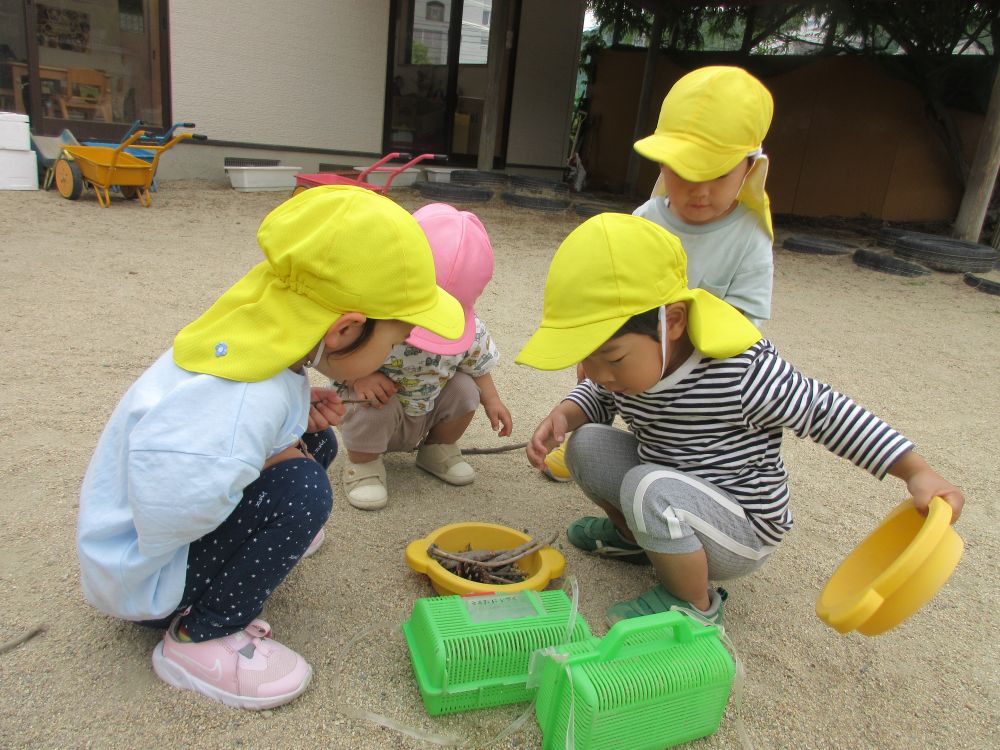 虫が大好きなIくん！
虫かごには自分で捕まえた虫が入っています☆

「これはなんのむし？」
気になったSちゃんが問いかけると
「これはテントウムシ！　これはダンゴムシ！　ぼくがつかまえたんよ！」
と、得意げに教えていました✨