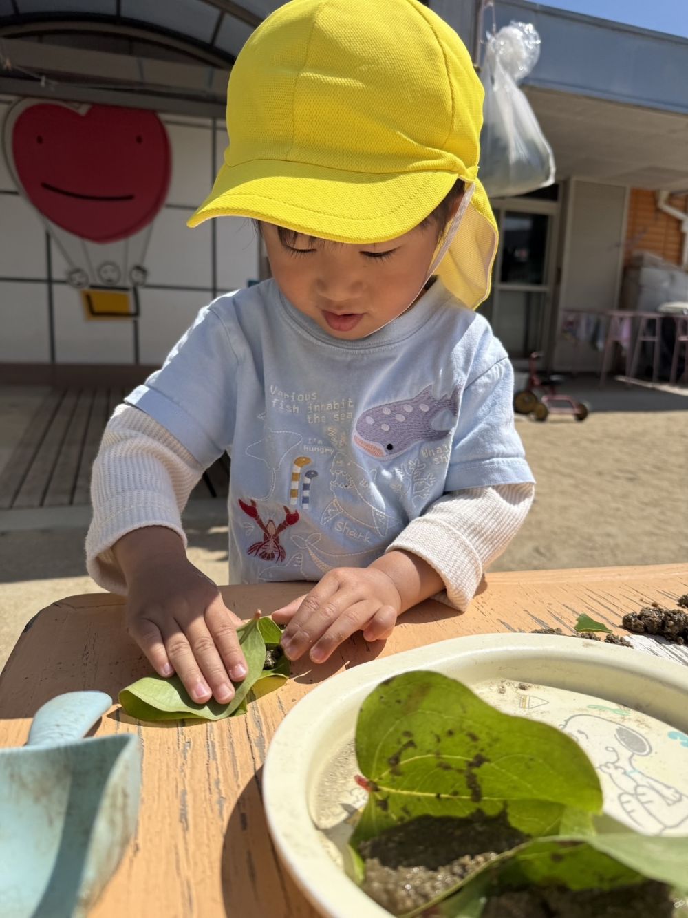 今日は柏の葉っぱをもらい
砂で団子をつくっている姿もありました🍡
慎重に集中して包むTくん。
おいしそうな柏餅がたくさんできていました！

これからも好きな遊びを楽しんでほしいですね★