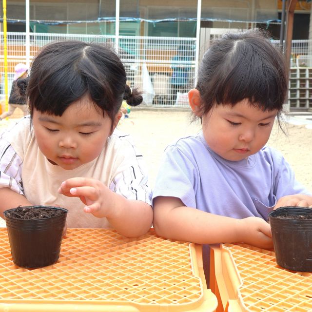 ＊　3歳児　種をまいたよ　＊
