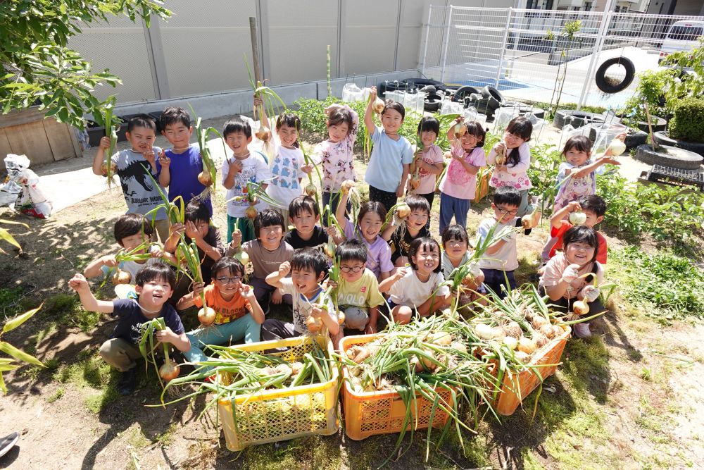 コンテナが山盛りになるぐらい
大きくて、たくさんの玉ねぎを
収穫することができました！！
「いつ食べる？？」
食べることが楽しみなキリン組です♡