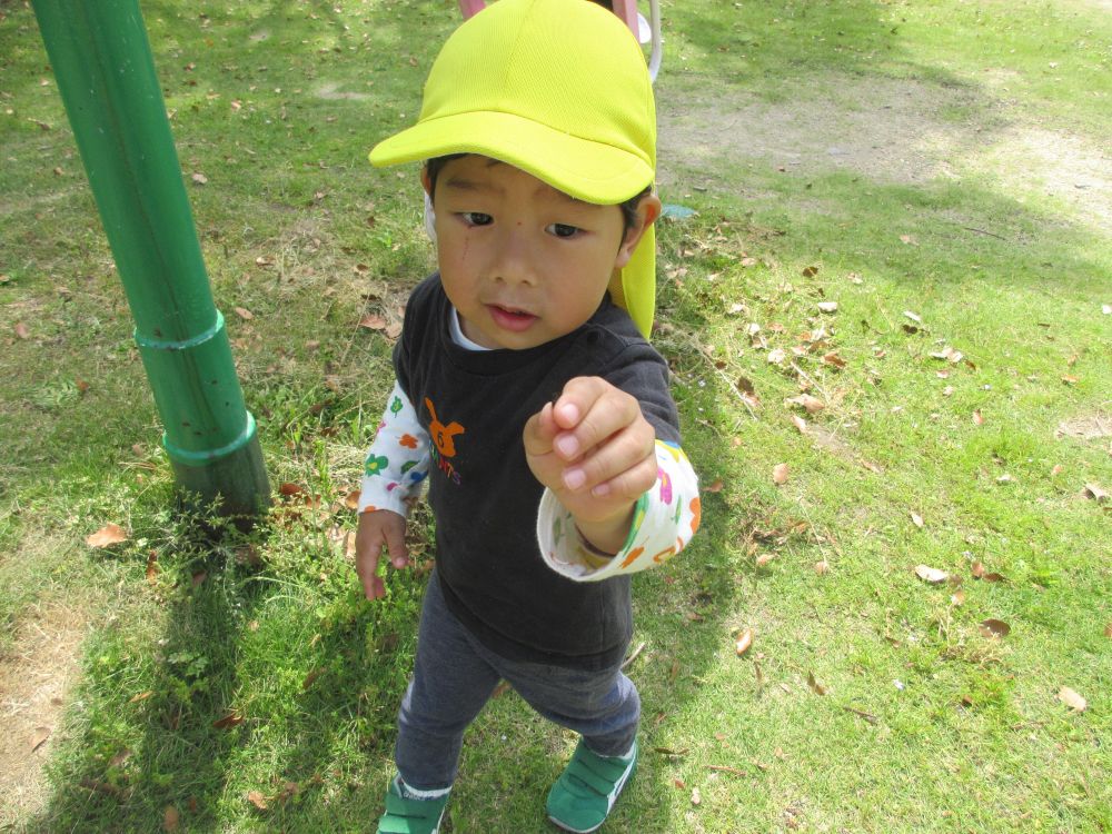 「先生見て！　虫捕まえた！　なんていう虫かな？」
虫探しに夢中なIくん⭐
「虫おったよーー！！」と大きな声で教えてくれると
周りの友達も気になり自然とみんなで集まっていました♡