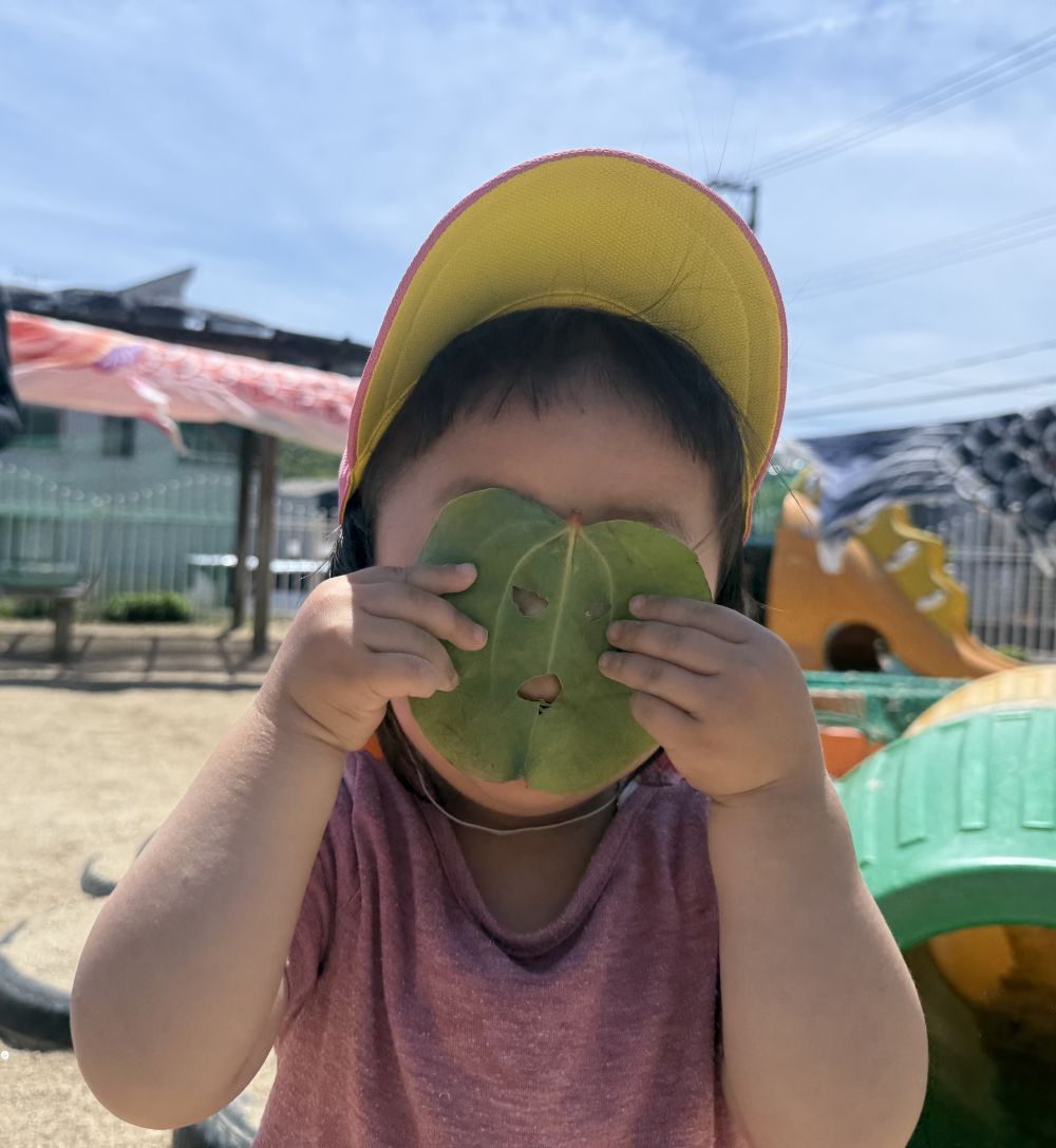 今日は頂いた柏の葉っぱで遊びました！

葉っぱをやぶって目と口をつくると･･･
おばけのような葉っぱのお面が完成！！
｢おばけだぞー👻｣とKちゃんはお面をつけて
みんなを驚かしていました！！