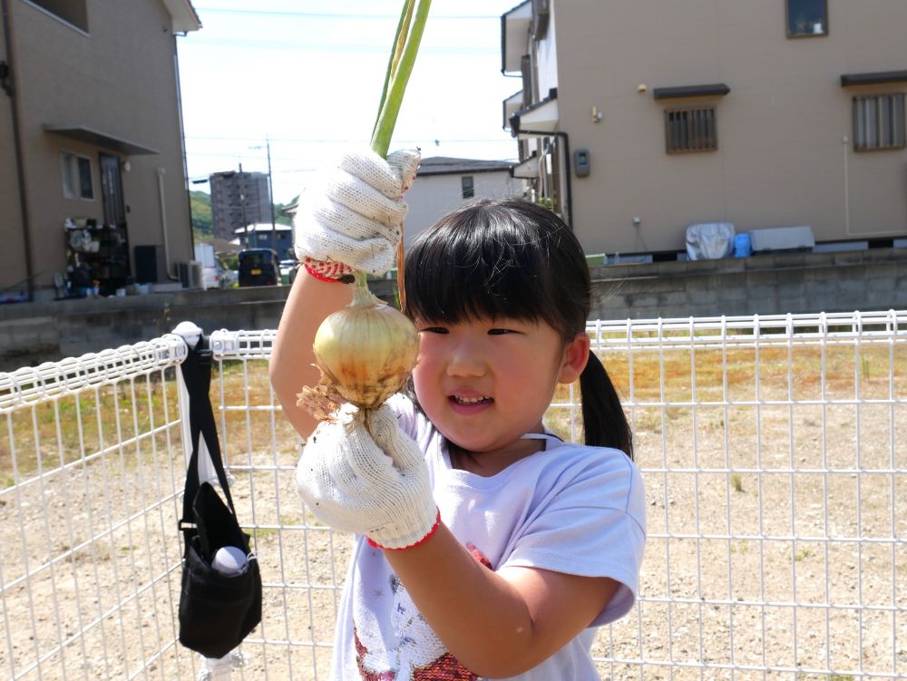 Cちゃん「やっととれた…疲れたよ(笑)」
一人の力じゃとっても硬くて
「とりやすいのから♪」と
少し小さめのたまねぎを狙っていました
それも作戦⭐さすが！！
