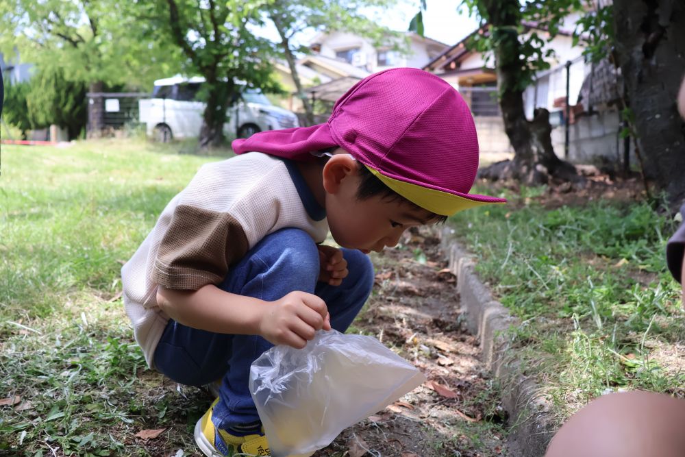 公園の隅に座り込むＨくん😶☆
探しているのは…
ダンゴムシ！
袋を持って準備万端！！🍂
最初から最後まで虫に興味津々でした

初めての散歩、大満喫の
リス組さんでした！💕💕