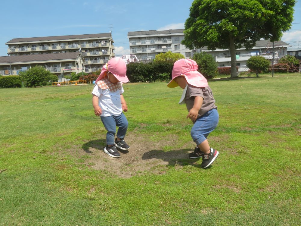 歩く姿も少しずつしっかりしてきた
ヒヨコ組さん♪
東尾道公園まで歩いて散歩に
行ってきました！！



芝生の上に少しへこんでいる所を見つけて
中に入ってみようとしているNくんとKくん♪
中に入ると足をバタバタ嬉しそうにしていました！

