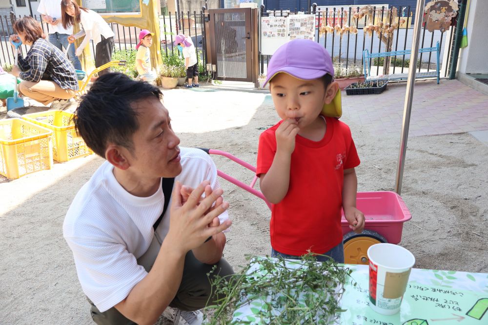 園庭では豆笛を…🫛☆
他の子がやっているのを見て
やる気が湧いたＹくん
お父さんに教えてもらいながら
チャレンジする様子👀💥

「もう１回やってみ！」とお父さんの言葉…
まだまだやってみる！


普段している遊びでも、お家の方が一緒だと
楽しさも倍増！✨
