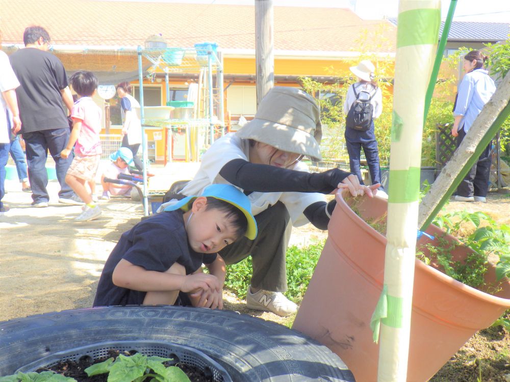 ４月からからたくさんの虫を
見つけてきたみんな！！
どこにいるのか、
隠れている場所は
バッチリわかります！！
「この下におりそう」
お母さんと一緒にのぞき込む♡