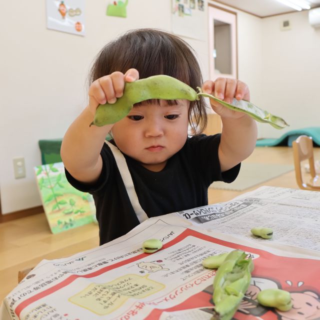 そら豆の皮剥き＊1．2歳児＊