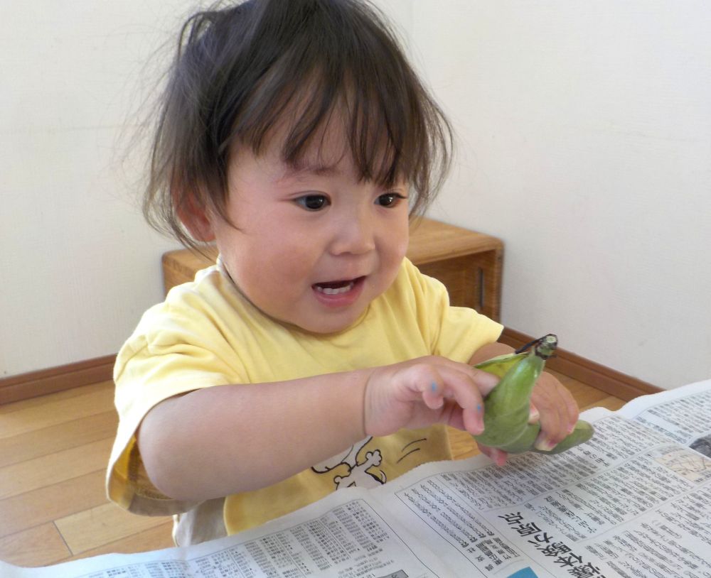 ５月　豆が美味しい季節になりました。
みんな大好きな絵本【そらまめくんのベット】
たくさんいろいろなマメが登場する物語です♡

そらまめをみんなで触ってみよう♪


