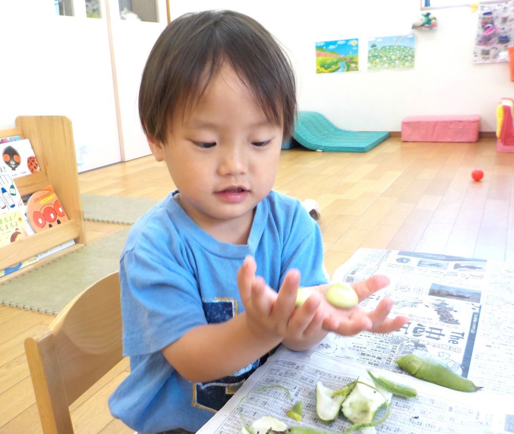 そらまめを握りしめたり、つんつんと触ったり、ふわふわのさやの中を何度もなでたり
触る様子が見られました♡

「みて―――」

手のひらに大切そうにそらまめをのせて見せてくれました