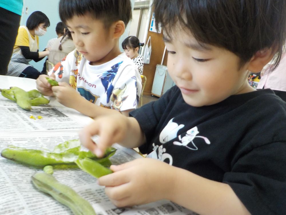 そらまめの他に【グリンピース】もさやをむきました☆
そらまめと違ってちいさな豆がいっぱい！
真剣な表情でコロコロ転がらないようにさやをむきます

「ビー玉みたい」
「ぶどうみたい」」

子どもたちはさやの中からたくさんの豆が出てくるたびに「わ～いっぱい入っとるね」と大喜び☆自分でむいたグリンピースを嬉しそうに友達と見せ合う姿が見られました
