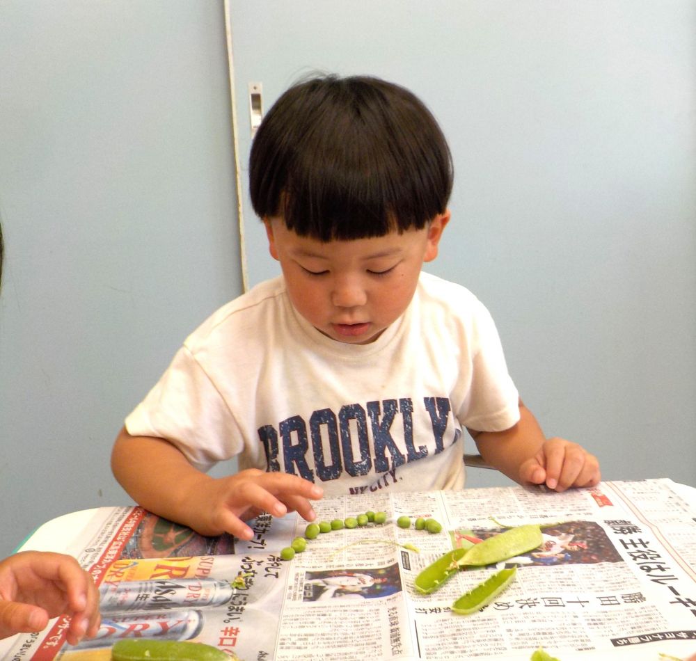 何個あるか数えてみるね！
丁寧にちいさな豆を並べて数えます

「１５個あった―――」