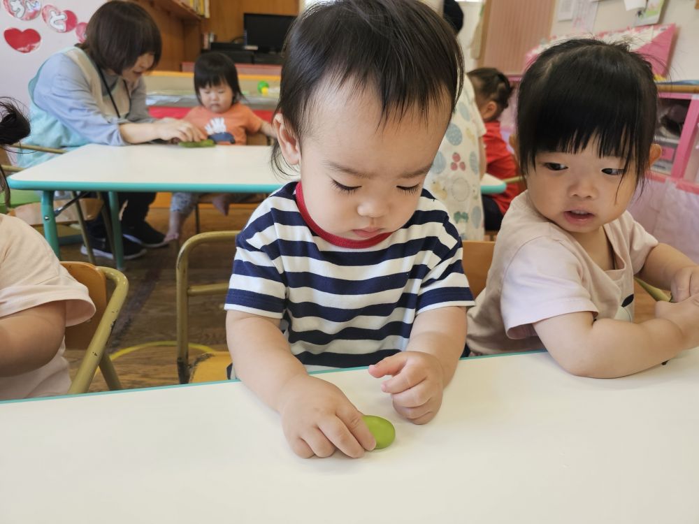 今月の食育は
「そらまめ」でした。

皮から出したそら豆を指で触って
大きさや形を観察していました！！



