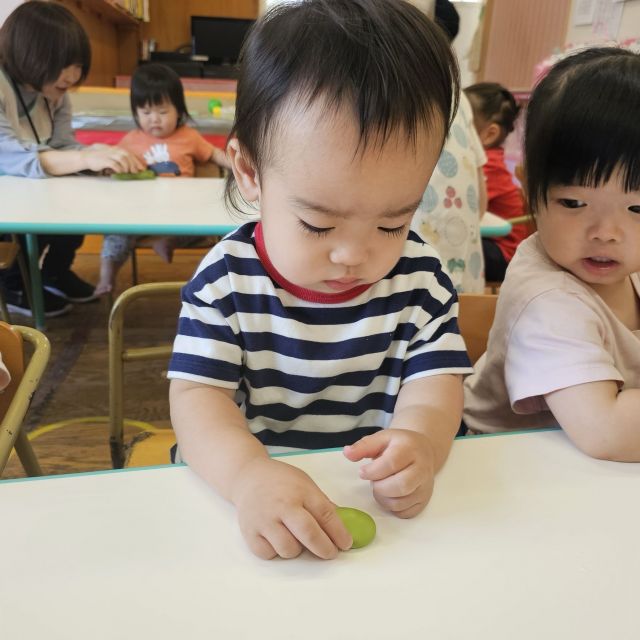 食育の日　　　～１歳児　ヒヨコ組～