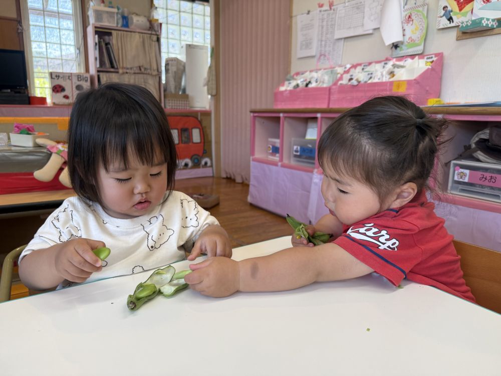 Rくんは、そら豆の皮の中にある
白いフワフワを発見！！
Nちゃんと一緒にそら豆をフワフワお布団に
戻していました💕