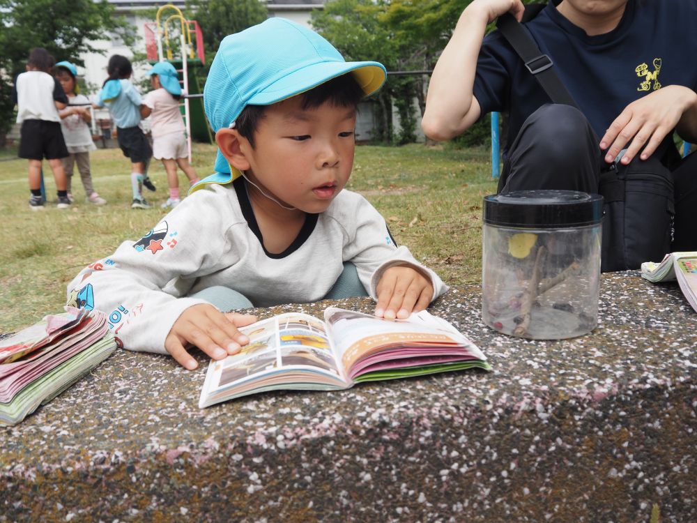 友達が捕まえたチョウチョやトンボの名前を
図鑑で調べるIくん♡
「黄色いからこれかな…」
名前のわからない虫を調べたり
何を食べるのか調べたり
朝の会で話し合い虫かごの中では飛べない…
と今日のチョウチョとトンボは
給食後にみんなで逃がしてあげました😊