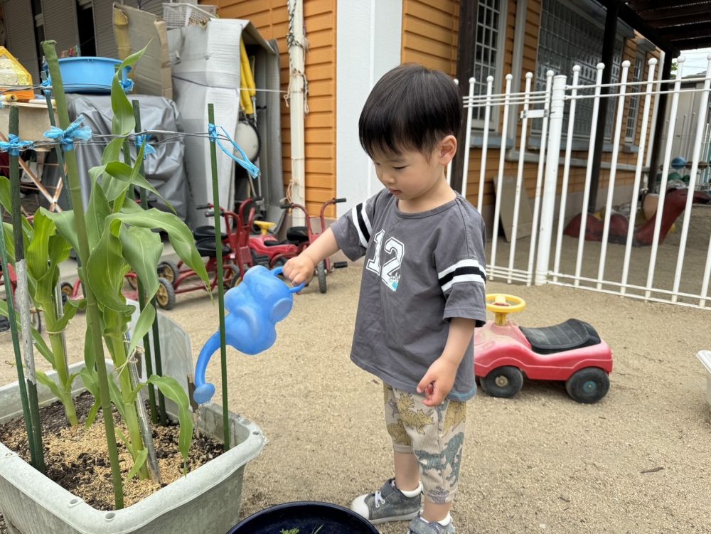 他のおやさいもどんどん大きくなりますように…🌽🍉🫑