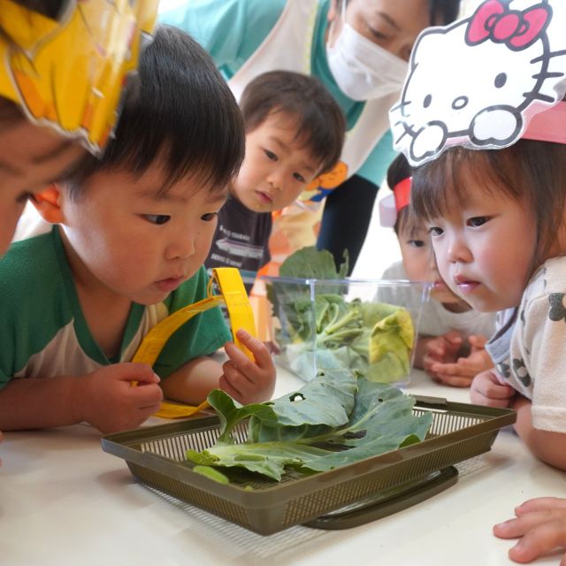 ＊　2歳児　観察　＊