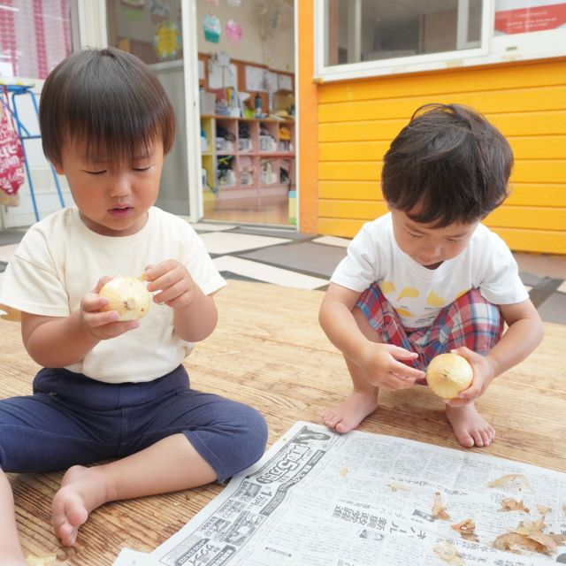 ＊　2歳児　玉ねぎの皮むき　＊