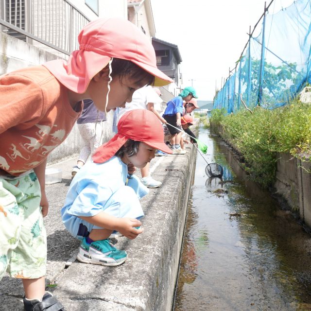 ＊　4歳児　念願の川へ　＊