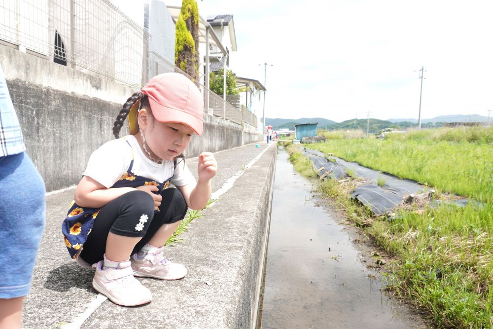 さらに動く生き物以外にも
貝殻や海藻などがたくさん！
すくったからこそ見える発見が
あり興味津々でした☆
