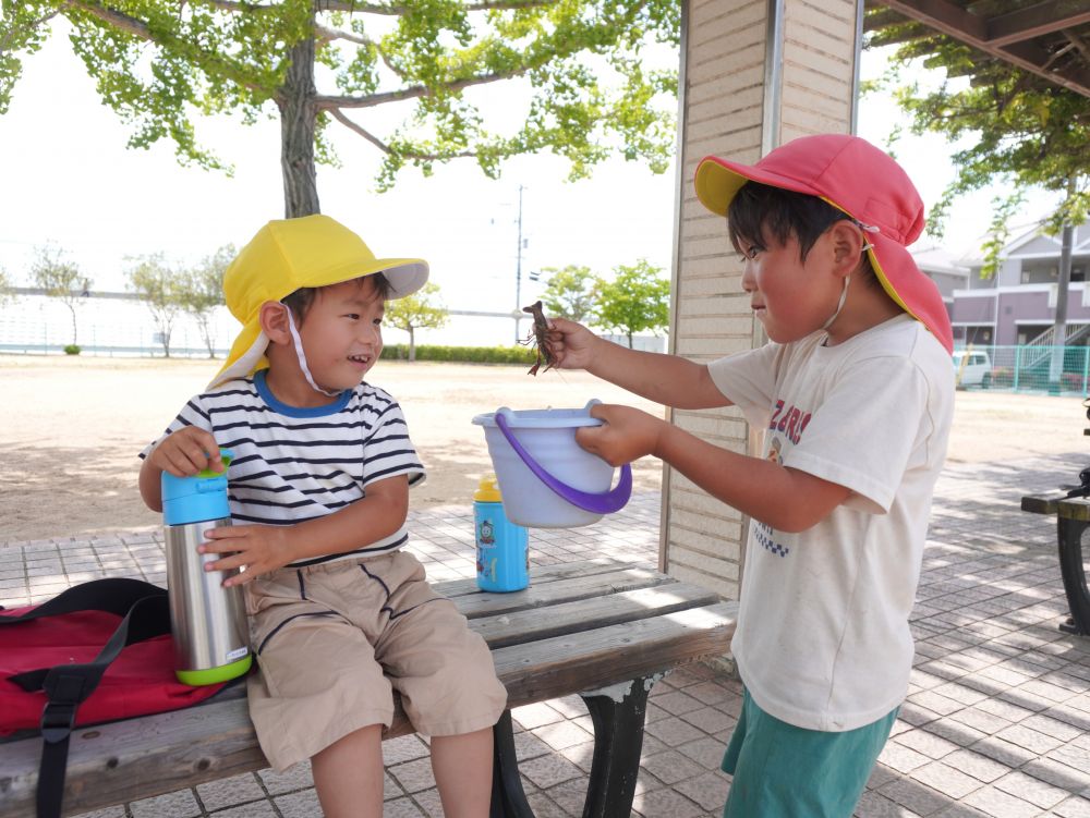 途中で合流したゾウ組さん！
川で捕まえたザリガニを見せてくれました♡
「わあー！おっきい！」
大きいザリガニに目が輝く♡