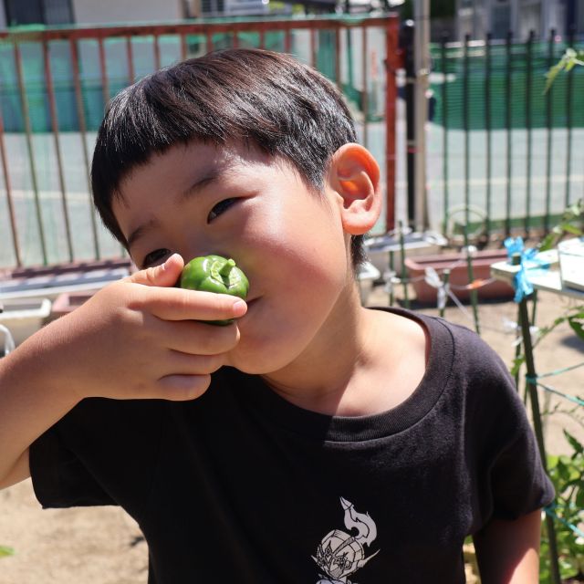 保育参加④　＊５歳児＊