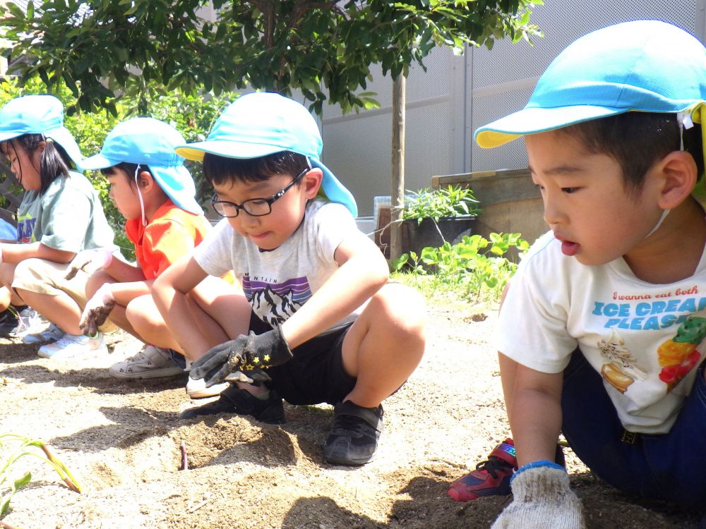 ｢これぐらいでいい？｣
｢いいんじゃない！｣
｢じゃあ植えるね~｣
2人で確認しながら苗を植えているR君とH君♡
苗が土から出ることなく植えることができました！