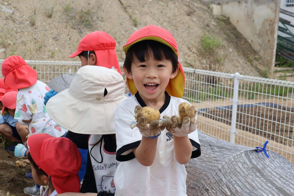 
「かったいっ ・ ・ ・ 土固いよ！」
と言いつつも、土を掘る手は止めない！


「あった！  じゃがいもあったよ🥔」
まるで宝物を見つけたみたいに
目をキラキラと輝かせる子どもたち♡

