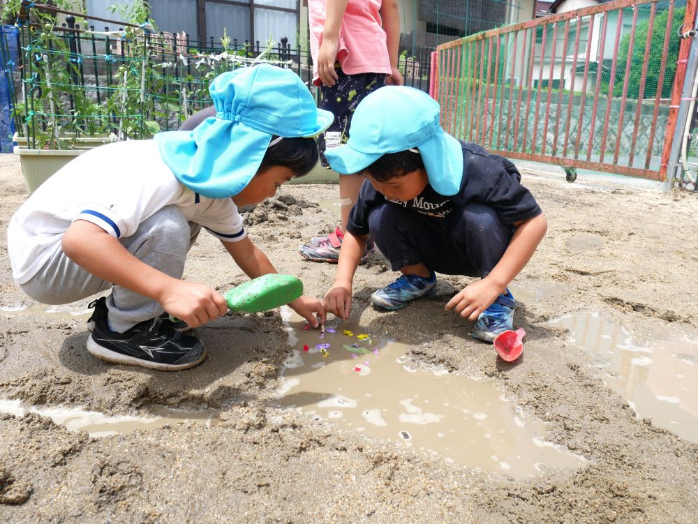 みんなで可愛いお花を集めては
迷路に浮かせ楽しんでいました♪
「一人ぼっちは寂しいから！！」
と同じ場所にいれていました😆