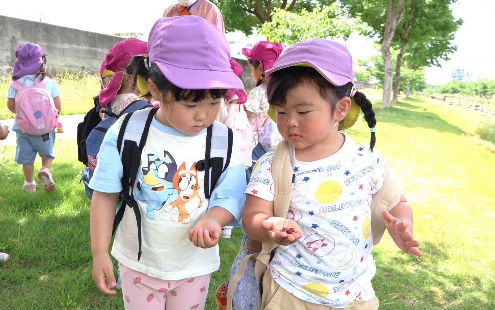 　「これなに？」
　「一緒じゃん！！」
見つけた木の実を集めたり、匂ってみたりしながら
友達と見せ合いっこ♪

これからもいろいろな発見を
楽しんでいきたいと思います♡