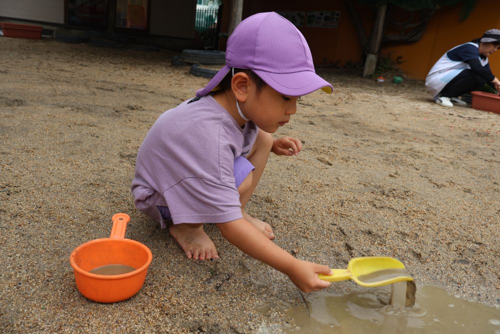 雨がたくさん降った翌日には園庭に大きな水たまりが・・・！
目を輝かせながら園庭に駆け出していくリスぐみさん。
どろんこなんて気にしない気にしない

砂場に大きな穴があることを発見👀✨
ここに水をいれていくとどうなるかな・・・

スコップを使って水たまりの水集めるYくん。
「いっぱいにするんよ～」と集中！