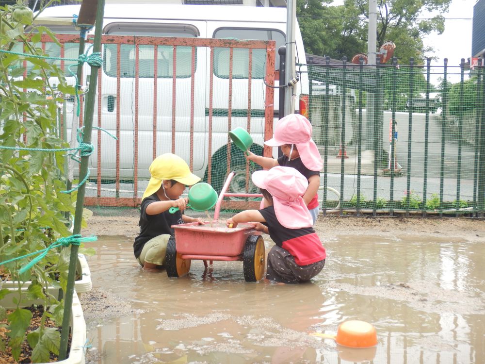 雨上がりの園庭には大きな水たまりが…✨
裸足で出て、楽しむ子どもたち☺

Iくんが水をすくっている様子が気になる
TくんとRくん！
Iくんが遊んでいる姿を見て真似っこしています

「ＴくんとＲくんも一緒にいいよ！」
優しく声をかけてくれたIくん♪
とっても優しいお兄ちゃん♡
