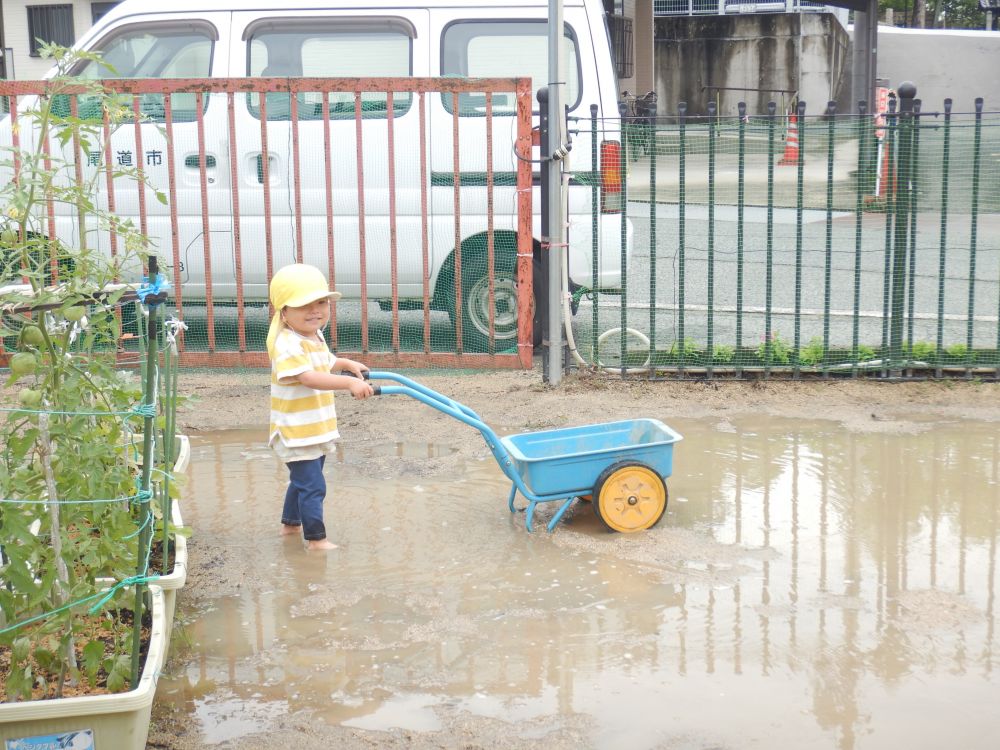 台車で遊ぶのが好きなⅯくん！
水たまりの中に一緒に入ってみたよ👀

雨上がりの園庭で思いきり楽しむ
クマ・ヒヨコ組さんでした♡