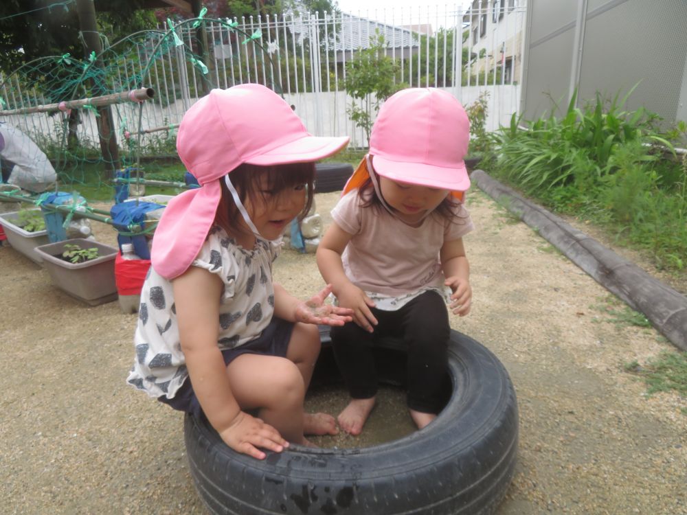 タイヤに座って2人で中の水に
足や手をつけて「つめたい！」「あめ♪あめ」と
嬉しそうに話すRちゃんとMちゃん♡

雨上がりの園庭楽しいね♪

