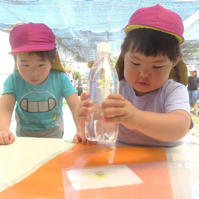 ＊　３歳児　キンケイギクを使って…　＊