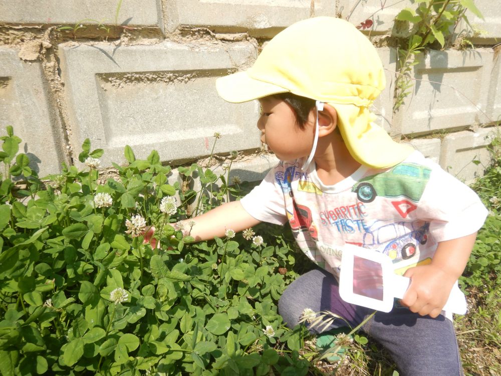 虫眼鏡を持って、もちろん
大好きな虫探しも♡

草と草の間を虫がいないか
じっくり探しています🐞