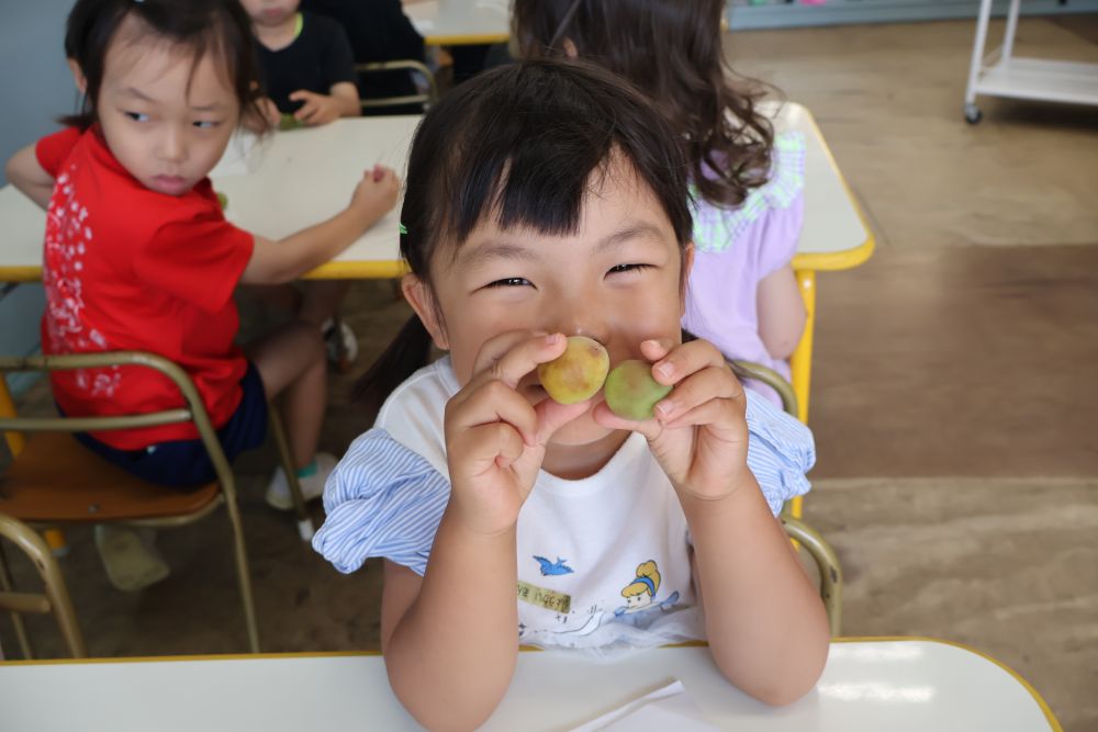 

梅シロップ作りの日♡

「これなーんだ？」
と給食の先生が梅を子どもたちに見せると
「ぶど ・ ・ ・ う？」
とはてな顔のゾウ組さん！

梅干しは見たことがあっても
梅自体を見たのは始めての子も！

まずは梅を感じる
「梅のにおいがする〜♡」
「いいにおい〜♡」
「ちょっとやわらかいかも」
様々な声が飛び交います！

