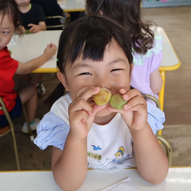 梅シロップを作ろう♡　＊４歳児＊