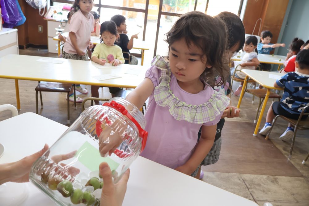 

ヘタを取り除いたら
氷砂糖と一緒にビンの中へ！

“おいしいジュースができますように😋♡”
と気持ちを込めて
優しくそっと慎重に
ビンの中へ入れていきます！

おいしい梅ジュースが出来上がりが楽しみです♡




